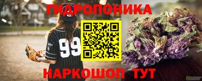 ешки Будённовск