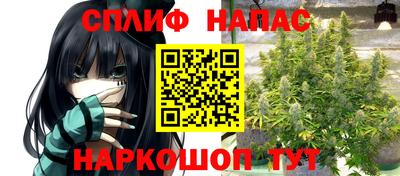 ПСИЛОЦИБИНОВЫЕ ГРИБЫ Канаш