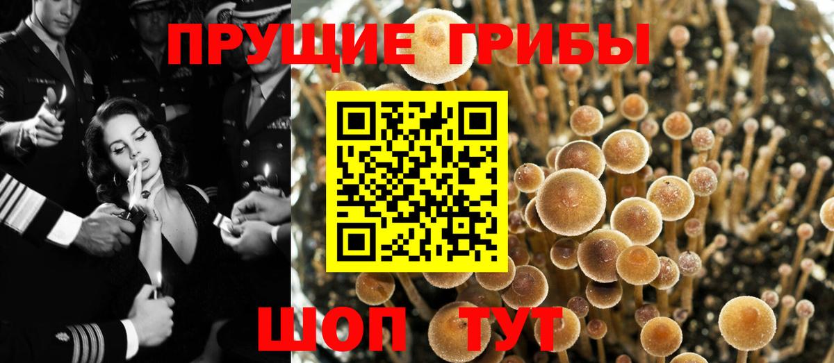 Галлюциногенные грибы мицелий  Вход с VPN  Краснотурьинск 